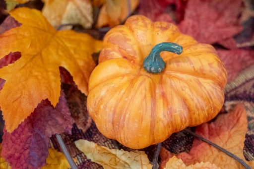 A closeup of a pumpkin, the concept of Thanksgiving food