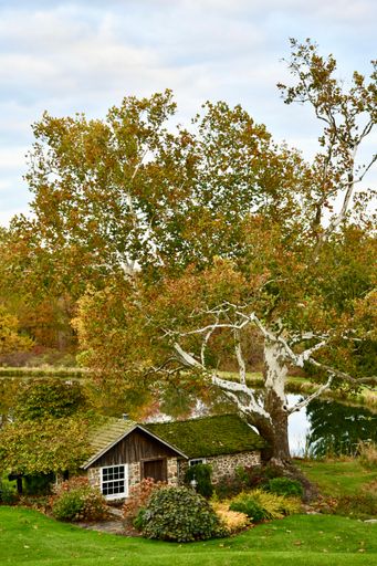 A vertical shot of a stone house with a green rooftop surrounded by bushes next to a high tree in front of a pond in Philadelphia, USA