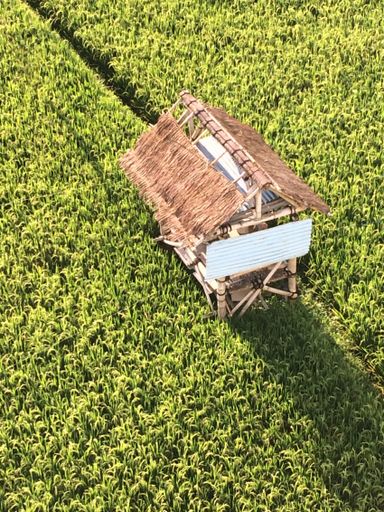 An aerial shot of a small wooden hut in the middle of a grassy field at daytime
