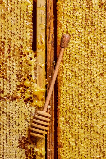 A closeup of a honeycomb texture