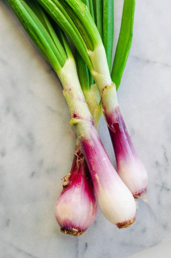 A vertical closeup shot of spring onions