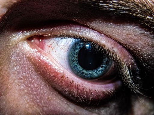 A closeup of person's deep blue eye and eyebrow