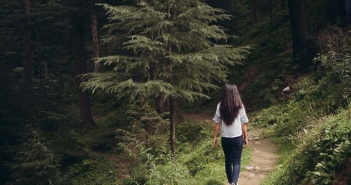 A back view of a young brunette Indian girl walking through the forest full of lush green trees