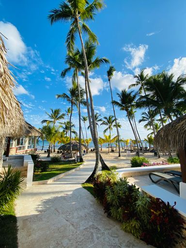 A scenic shot of a beautiful tropical resort with small houses and palm trees