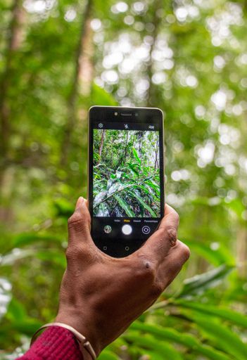 Vertical shot of a photo on a photo in Mandraka Park, Madagascar