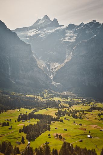 A vertical shot of the beautiful mountain peaks with the green vale. Switzerland.