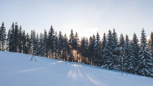White snowy meadow with a ski resort against a dense forest of snow covered pine trees and blue sky in Slovakia
