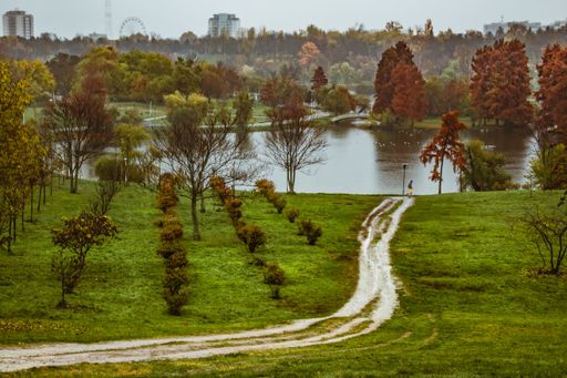 A scenic view of a lake in a park surrounded by lush nature