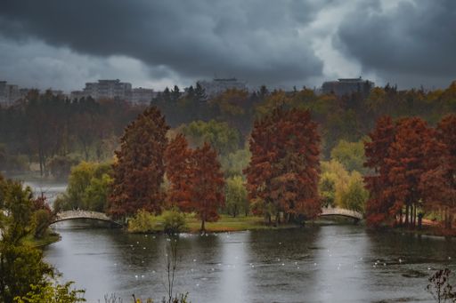 A scenic view of a lake in a park during autumn on a cloudy sky background
