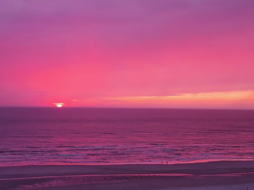 A mesmerizing pink sunset over the sea in the Netherlands