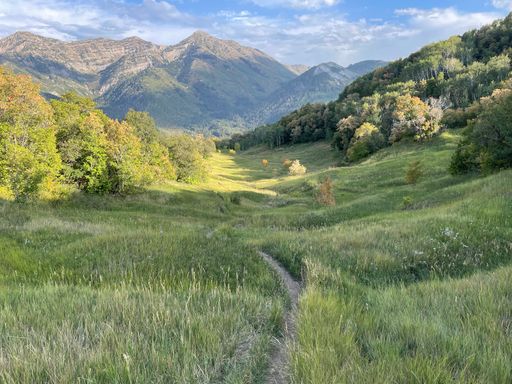A trail in a grassy field in a mountainous area in the morning