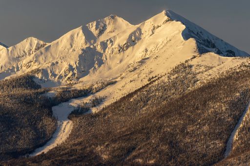 A scenic view of a mountain chain covered with snow and an avalanche path going down through the forest