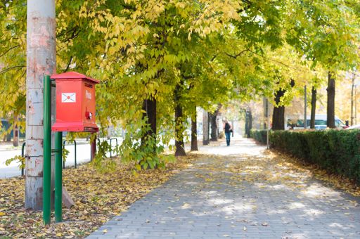 A mailbox on the sidewalk surrounded by autumnal plants in Budapest, Hungary