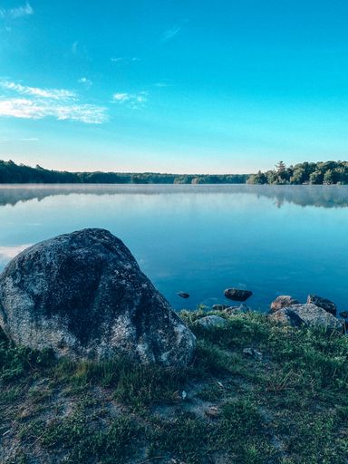 A vertical shot of a lake in a forest surrounded by lush nature on blue sky background