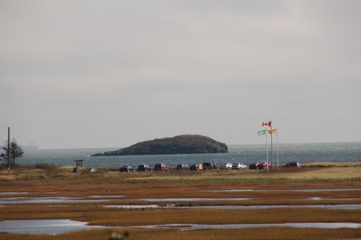 A beautiful view of a meadow with the water in some parts near the sea