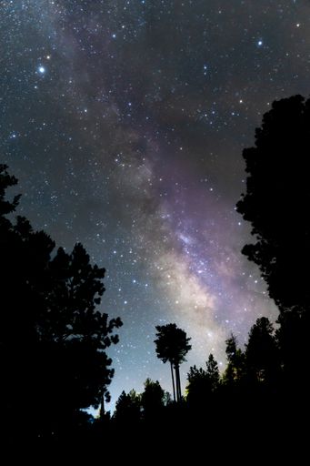 A vertical shot of the scenic view under the starry night sky