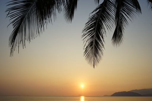 A beautiful shot of palm tree leaves near the beach with a mountain in the distance under a beautiful sky in Nha Trang, Vietnam