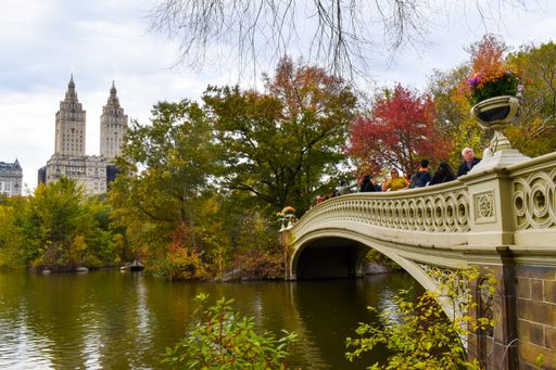 A beautiful shot of an autumn day on a bridge in Central Park in New York