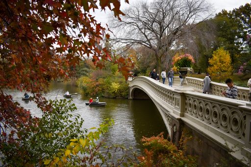 A beautiful shot of an autumn day in Central Park in New York