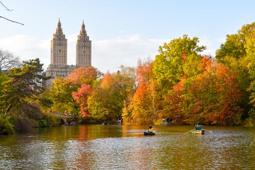 A beautiful shot of an autumn day in Central Park in New York