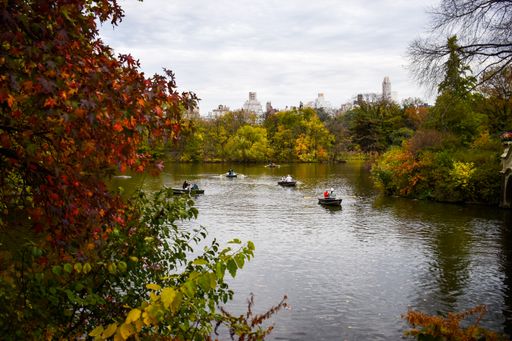 A beautiful shot of an autumn day in Central Park in New York