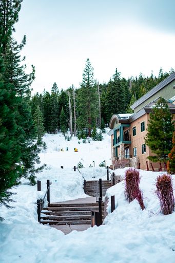 A mesmerizing view of a building in the snowy forest with dense green trees against a cloudy sky