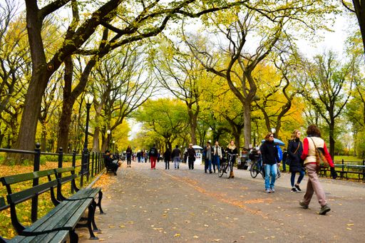 A beautiful shot of a busy autumn day in Central Park in New York