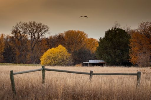 A small wooden fence in the dry field with colorful trees in the background on a gloomy day