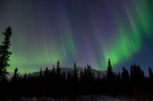 A silhouette shot of the beautiful northern lights over the field