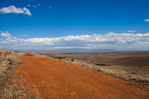 A beautiful shot of a road and fields under the cloudy skies during the day
