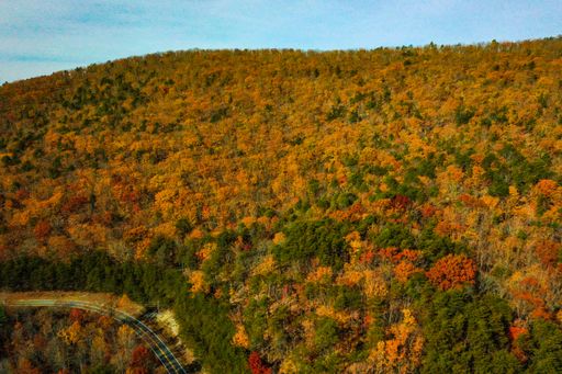 A beautiful view of an autumn landscape with trees in the mountains