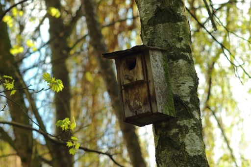A wooden handmade birdhouse fixed on a tree trunk in the forest or p