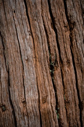 A vertical closeup shot of details on old wood