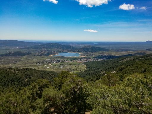 An aerial shot of a beautiful green forest on a sunny day in Manzanares, Spain