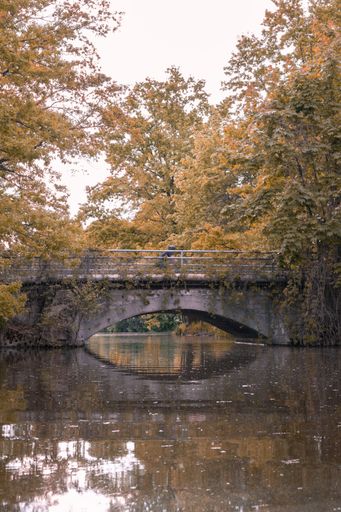 A vertical shot of a bridge constructed over the river in autumn