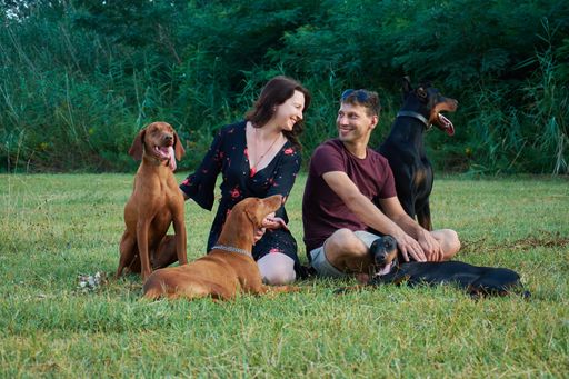 A Serbian Caucasian couple with their four dogs sitting in a field during daylight
