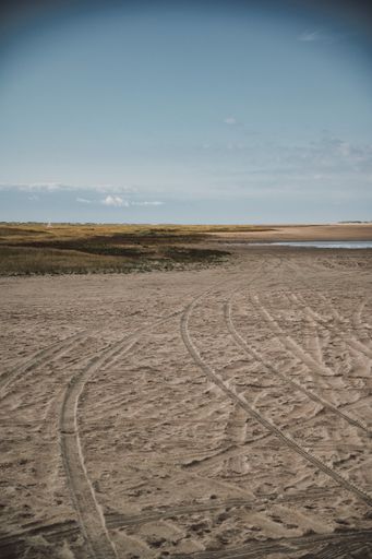 A vertical shot of a sandy beach during daylight