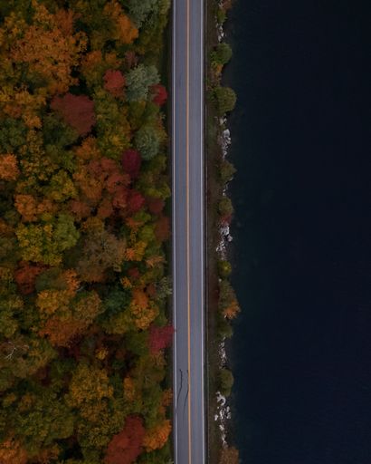 The road passing along dense autumn trees on the island on the coast of Lake Willoughby, Vermont