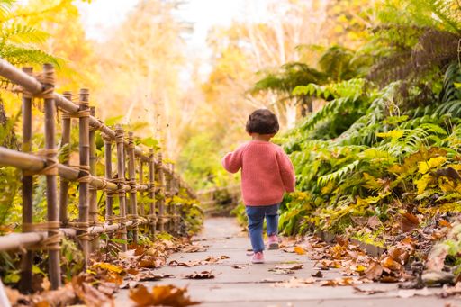 A rear view of a girl running through a beautiful park in the autumn
