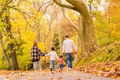 A rear view of an adorable family walking through a park in the autumn