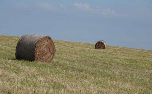 A beautiful view of hay on a grassy hillside in late summer, Norfolk, UK