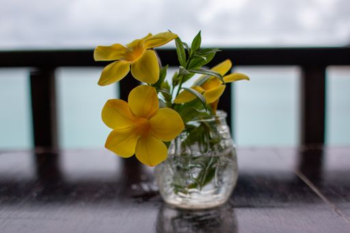 A close-up shot of beautiful yellow flowers in a glass jar on a wooden table