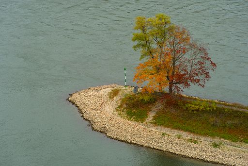 A beautiful view of a pier in the river Rhine with autumnal colored trees