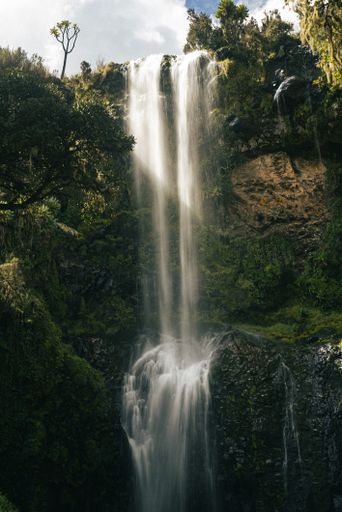 A vertical shot of the mesmerizing waterfall in the forest with dense greenery on a sunny day