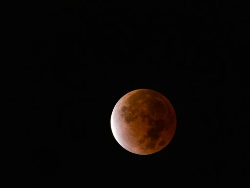 A beautiful shot of the moon on the night sky