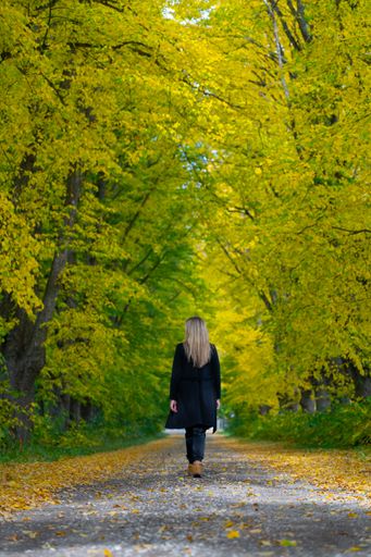 A vertical back view of a female walking in a green autumn forest