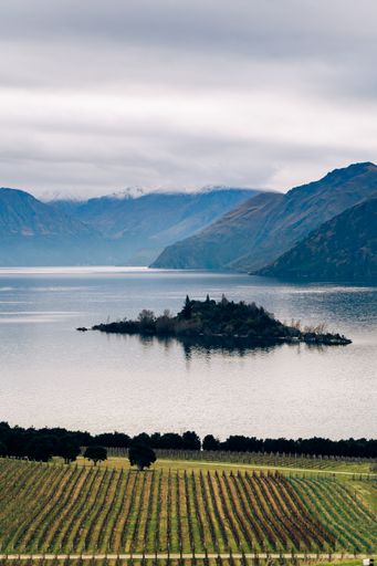 A vertical shot of a beautiful landscape near a lake on a gloomy day