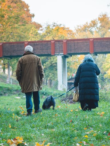 A vertical shot of an elderly caucasian man and a hispanic woman taking their dog for a walk in the park