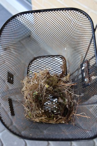 A closeup shot of a nest in the metal basket of a bicycle