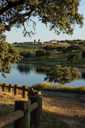 A vertical shot of the Alqueva Lake and some buildings in the background during the day